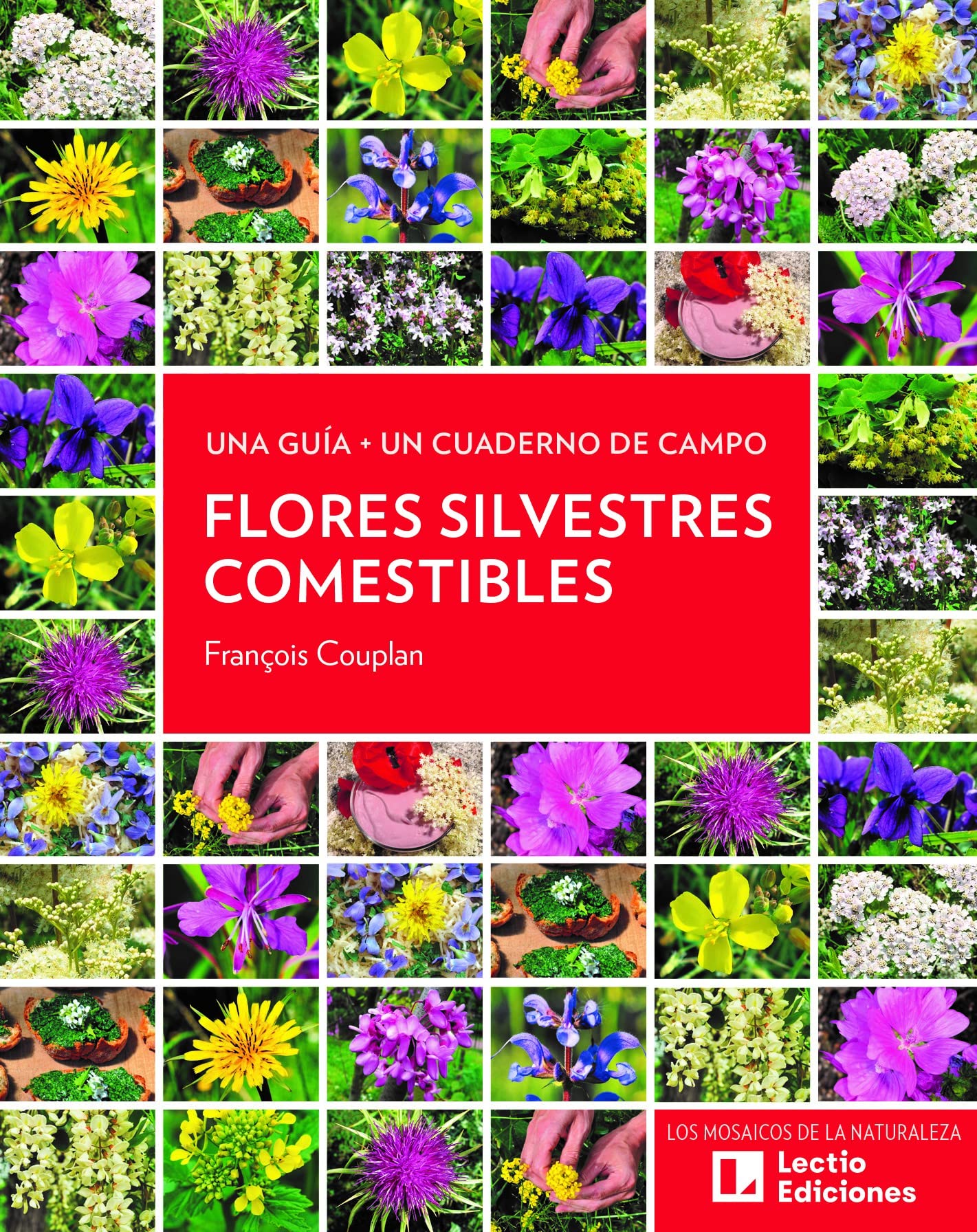 Flores silvestres comestibles: Una guía + Un cuaderno de campo (Paperback)