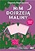 Nim dojrzeją maliny