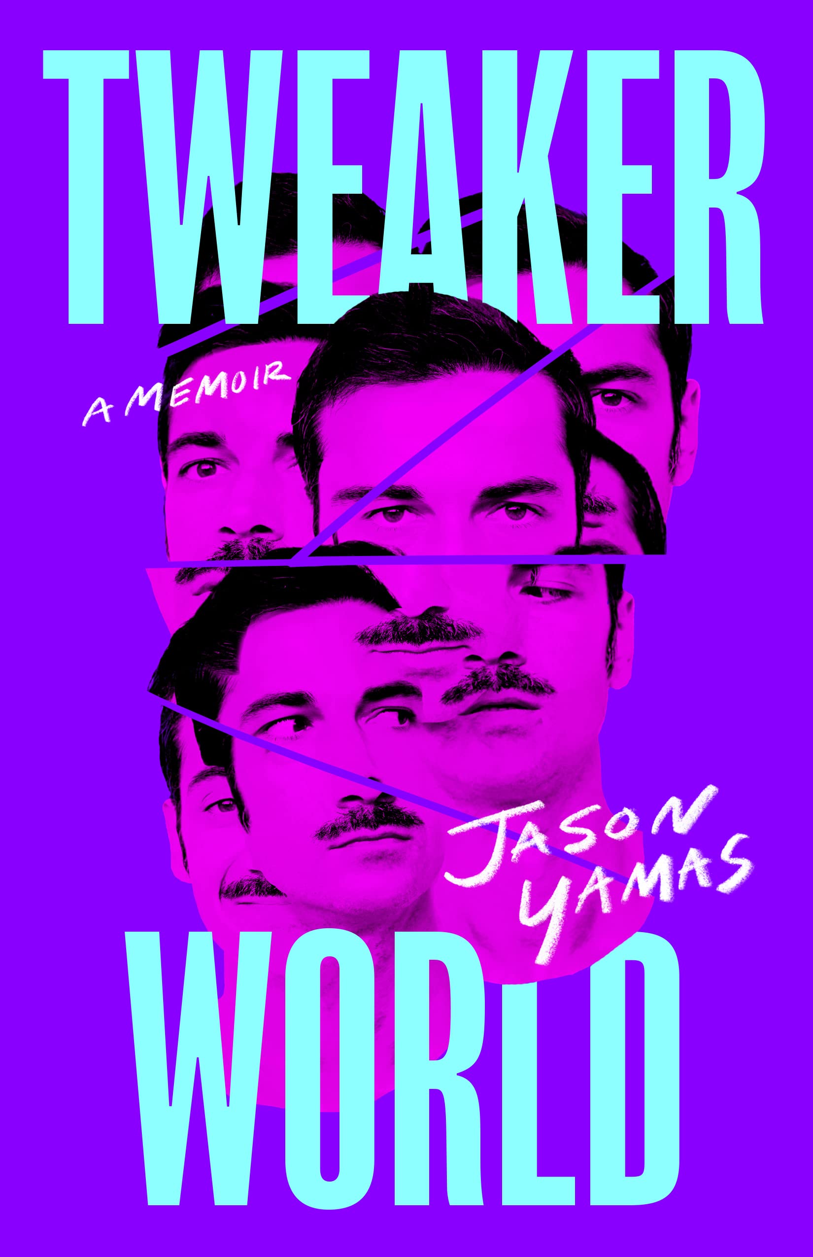 Tweakerworld (Hardcover)