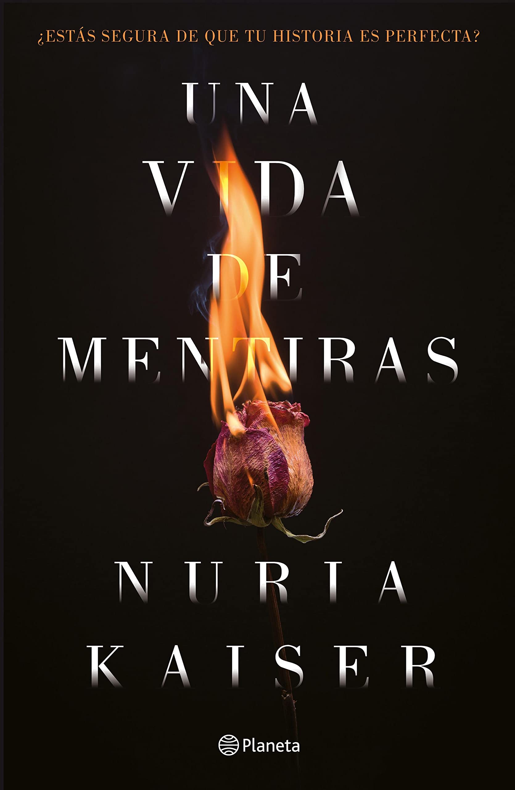 Una vida de mentiras (Kindle Edition)