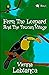 Fern And The Toucan Village...