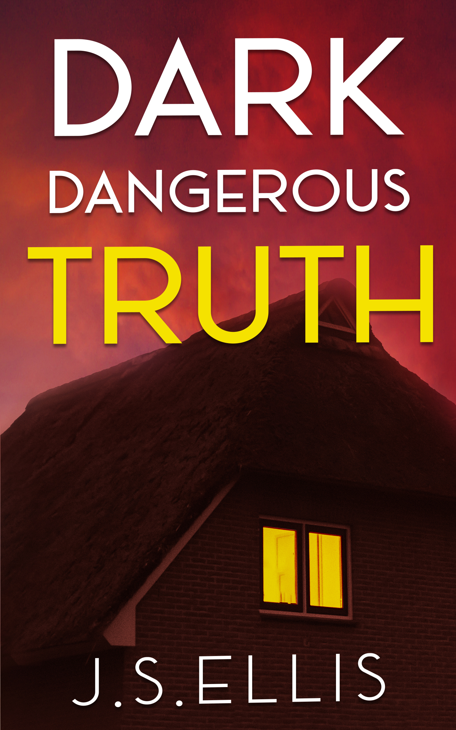 Dark Dangerous Truth (Kindle Edition)