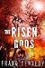 The Risen Gods (The Impossible Future)