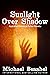Sunlight Over Shadow by Michael Beashel