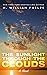 The Sunlight Through the Clouds: A Novel