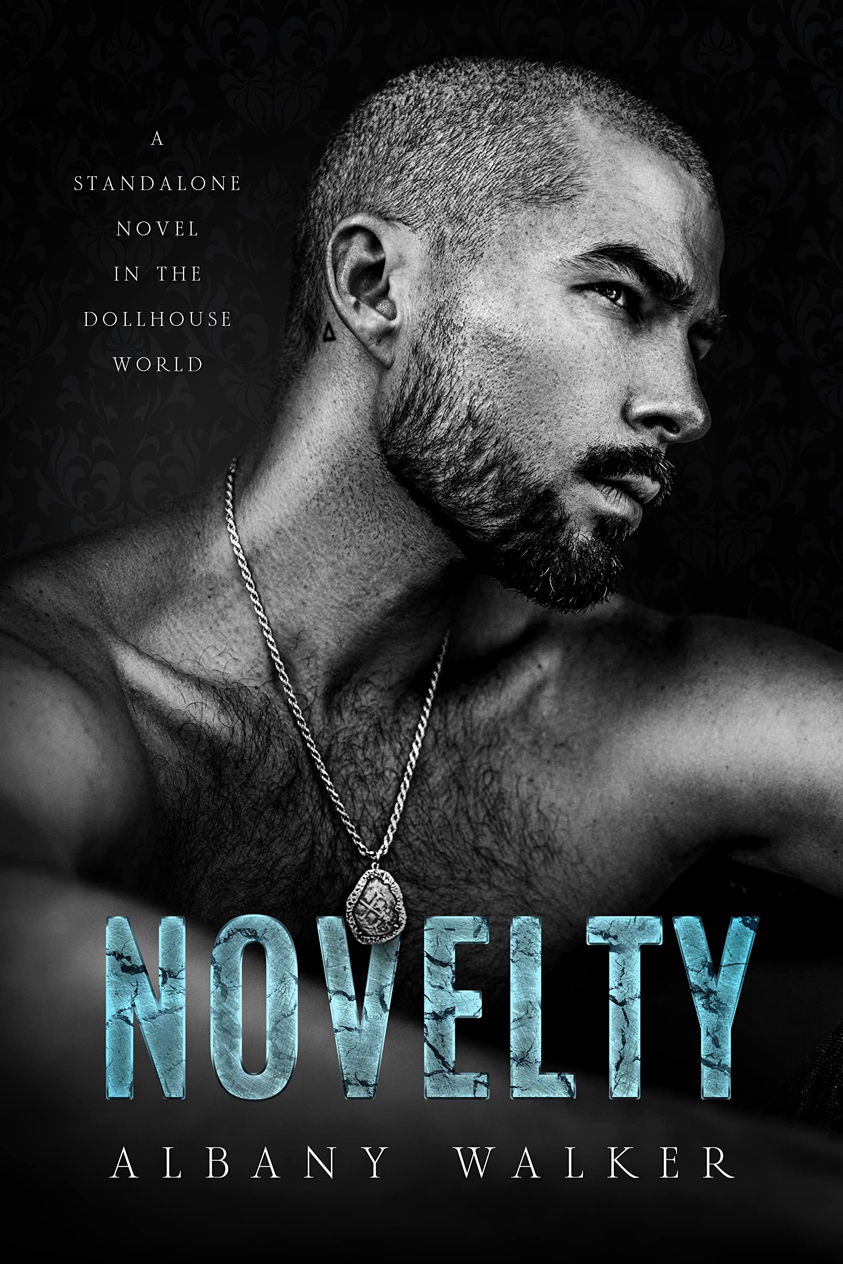 Novelty (Dollhouse #3)
