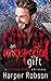 An Unexpected Gift: A Hot Dam Homes Christmas (Hot Dam Homes, #2.5)