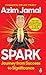 Spark: Journey from Success to Significance