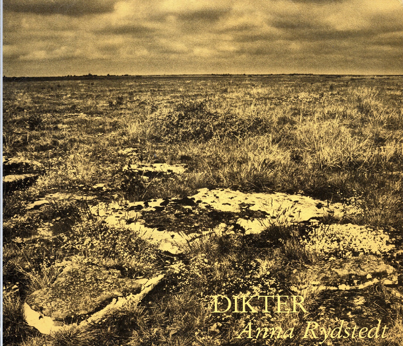 Dikter