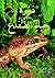From Tadpole to Frog (Scholastic Science Readers Series)