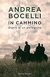 In cammino: Diari...