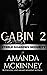 Cabin 2 (Steele Shadows Security, #2)