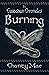 Burning: A Custod Chronicle Part II (The Custod Chronicles)