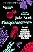 Phosphorescence by Julia Baird