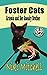 Foster Cats: Artemis and Her Sneaky Brother (A Happy Jack Cats Adventure Book 1) LARGE PRINT: Artemis and Her Sneaky Brother (A Happy Jack Cats Adventure Book 1)