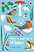 What to Look For in Winter (A Ladybird Book)