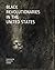 Black Revolutionaries in th...