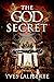 The God Secret