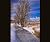 Grand Tetons in Winter