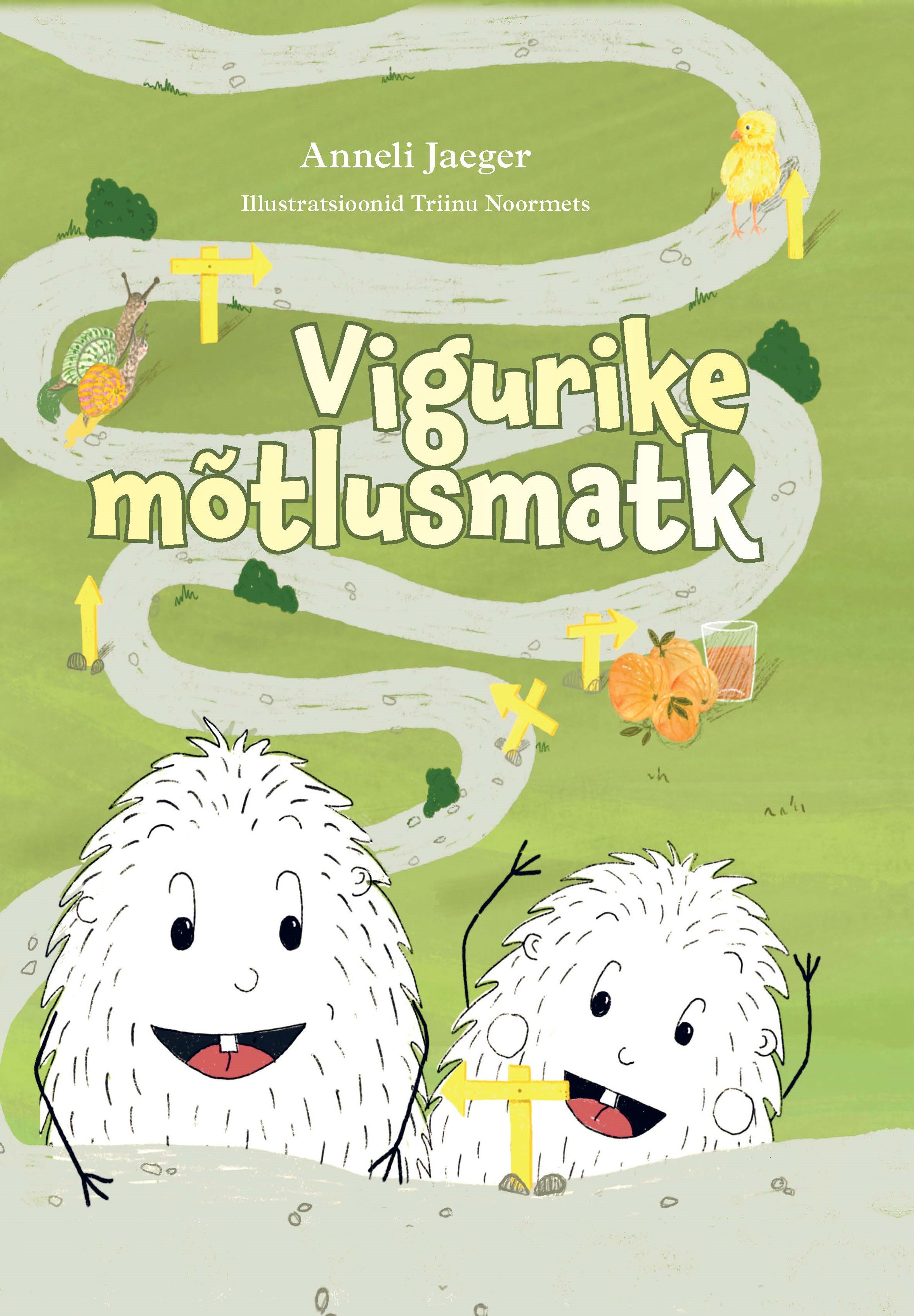 Vigurike mõtlusmatk (Paperback)