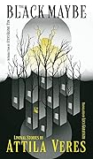 The Black Maybe: Liminal Tales