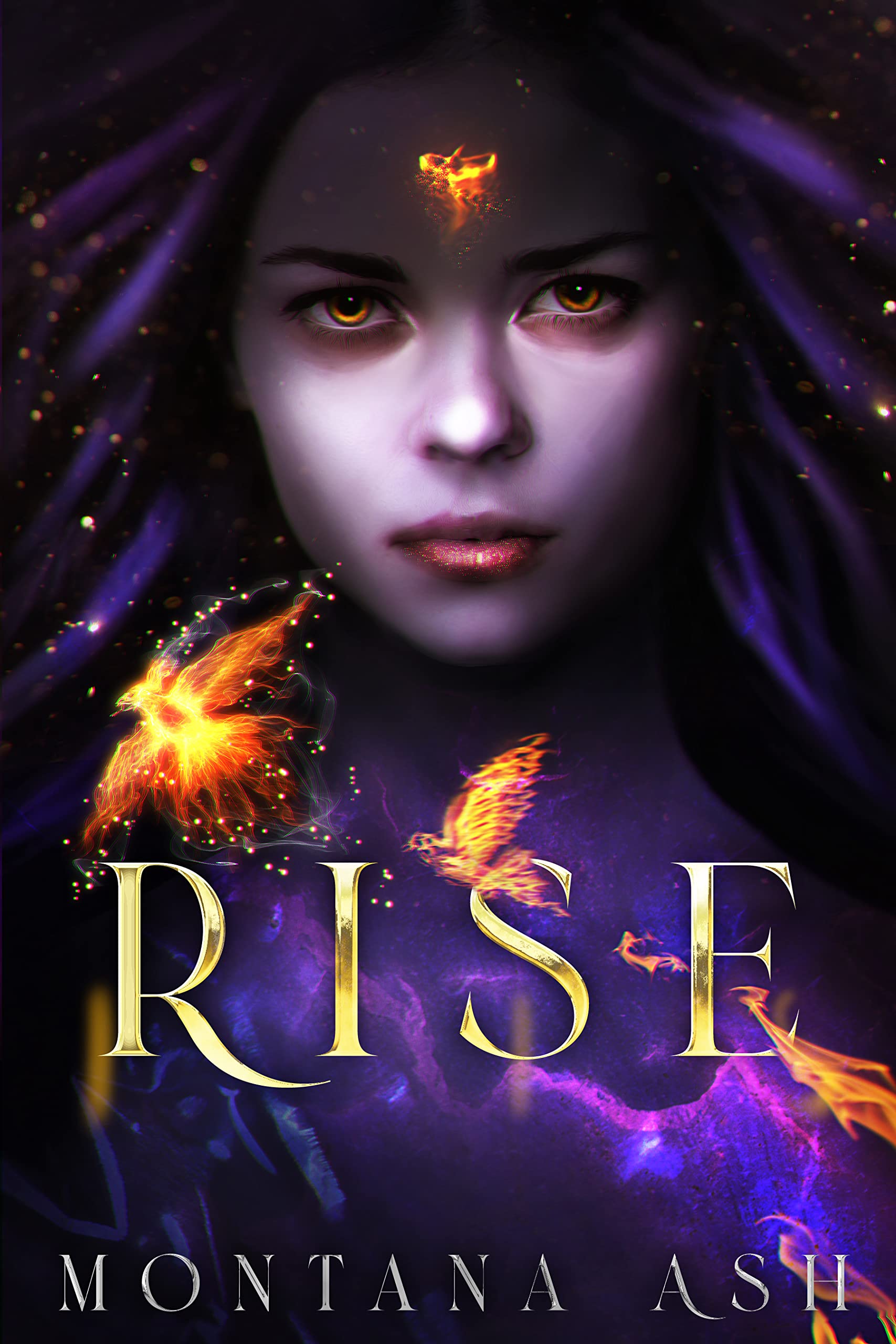Rise (Kindle Edition)
