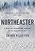 Northeaster: A Story of Cou...