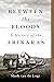 Between the Floods: A Histo...