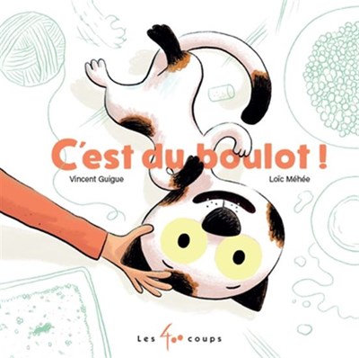 C'est du boulot (Hardcover)