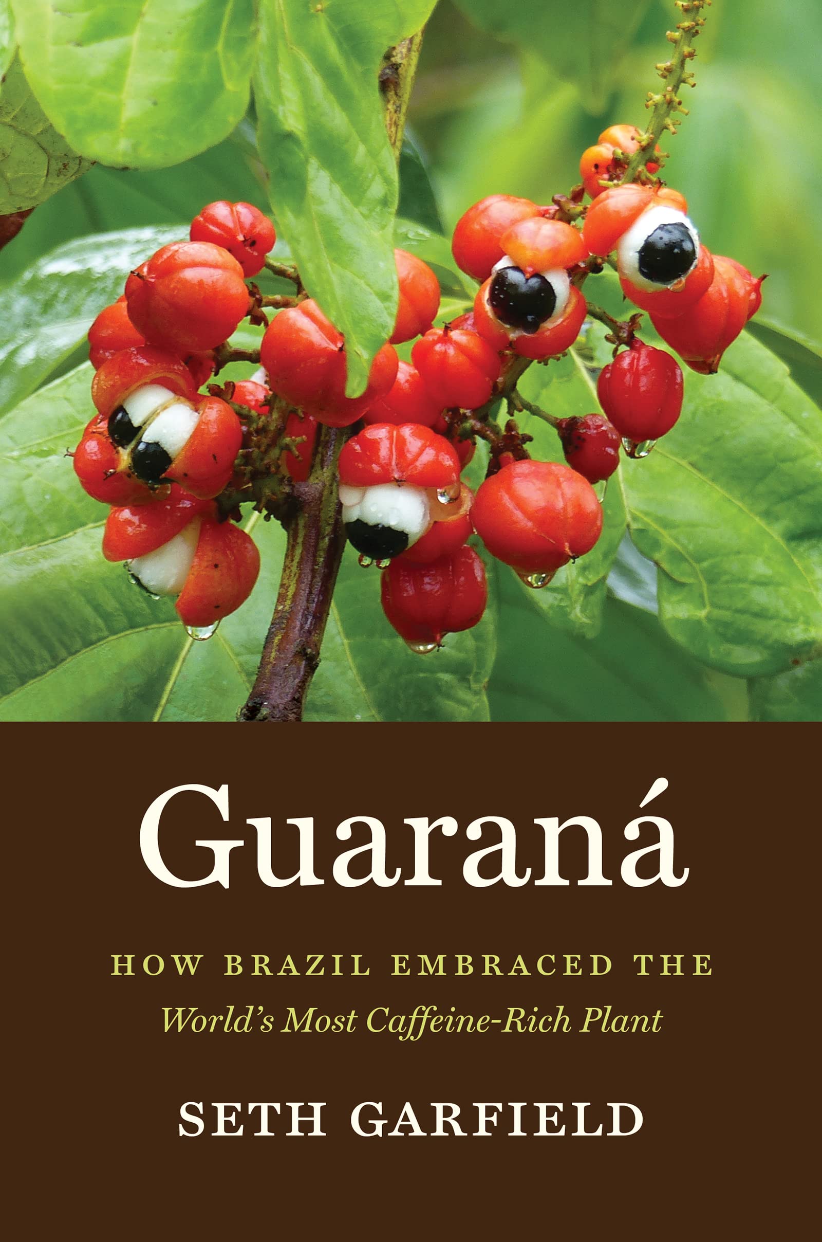 Guaraná: How Brazil Embraced the World's Most Caffeine-Rich Plant (Kindle Edition)