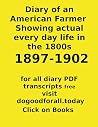 Diary of an Ameri...