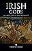 Irish Gods by Trident Books