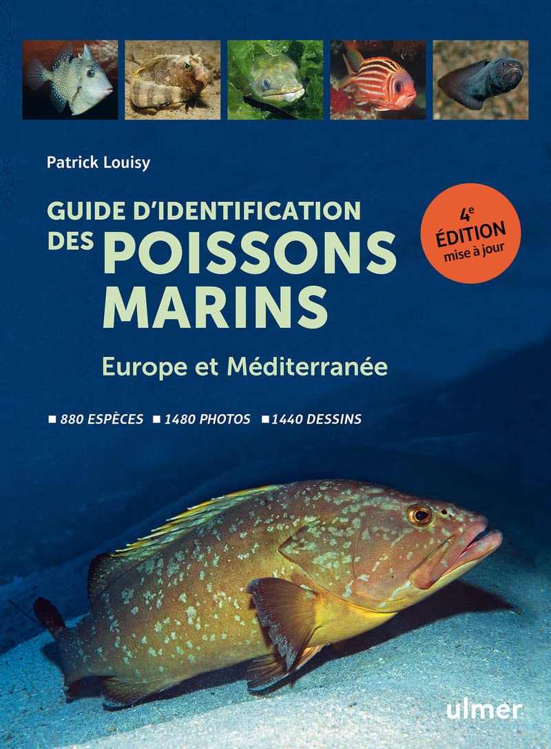 Guide d'identification des poissons marins - Europe et Méditerranée (Hardcover)