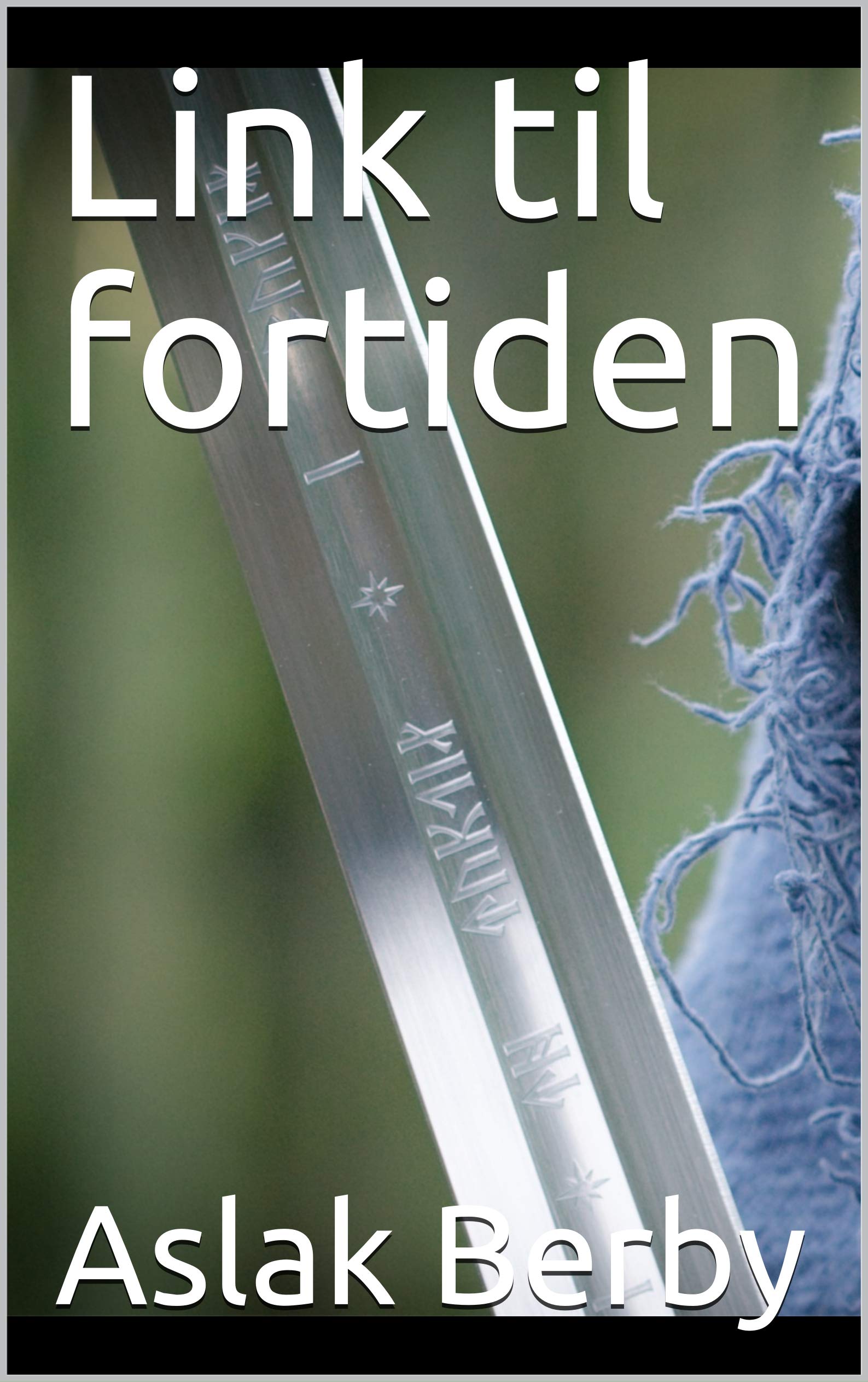 Link til fortiden (Norwegian Edition)