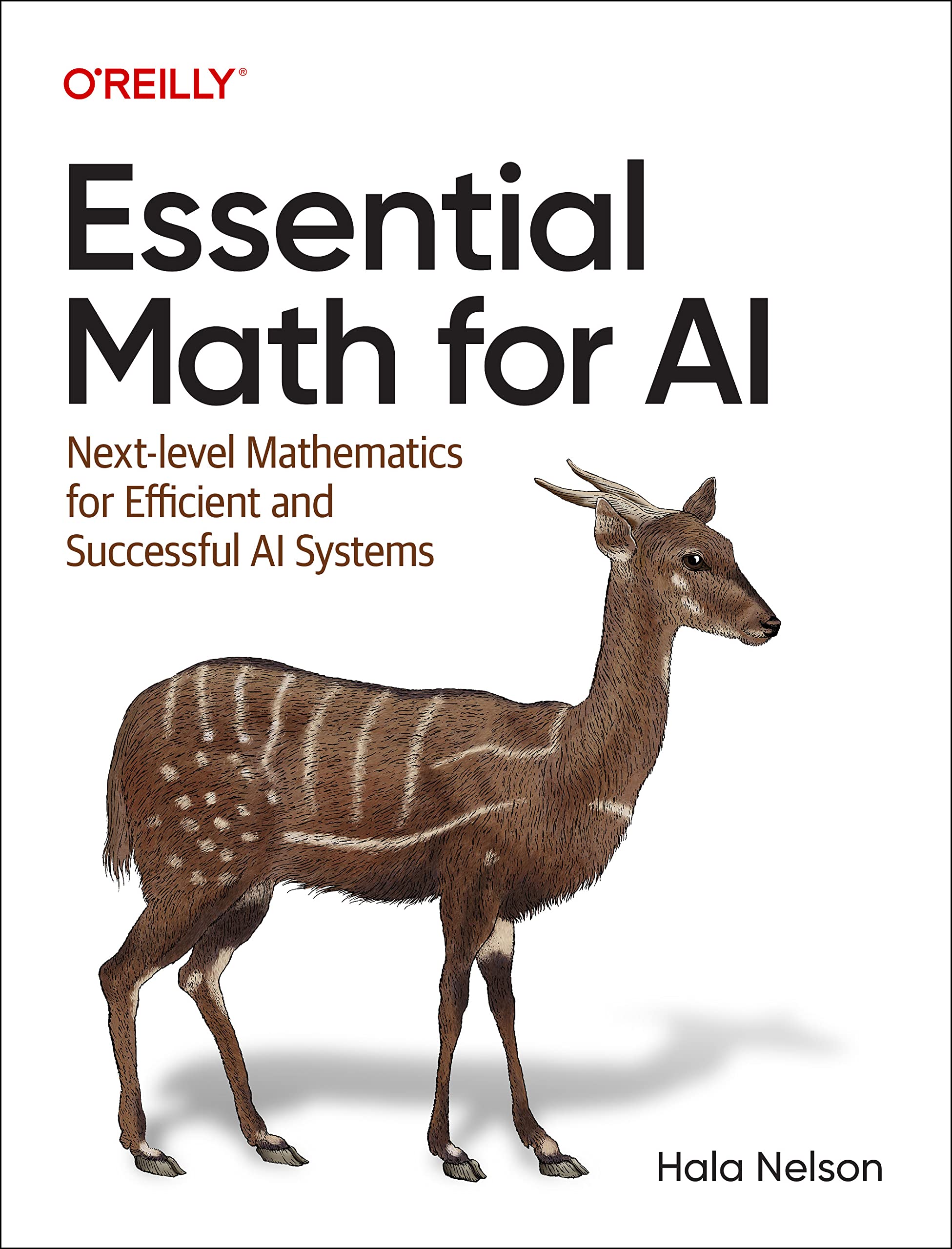 Essential Math for AI: Next-Level Mathematics for Efficient and Successful AI Systems (Paperback)