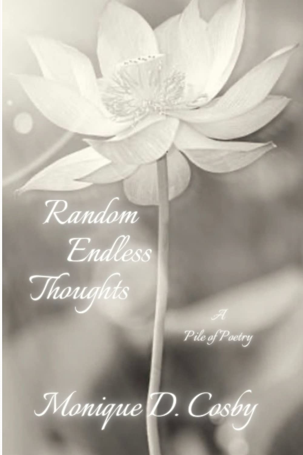 Random Endless Thoughts: A Pile of Poetry