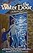 The Water Door: Middle Grad...