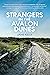 Strangers in the Avalon Dunes (A Meg Daniels Mystery #6)