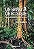 Un baño de bosque: Una guía...