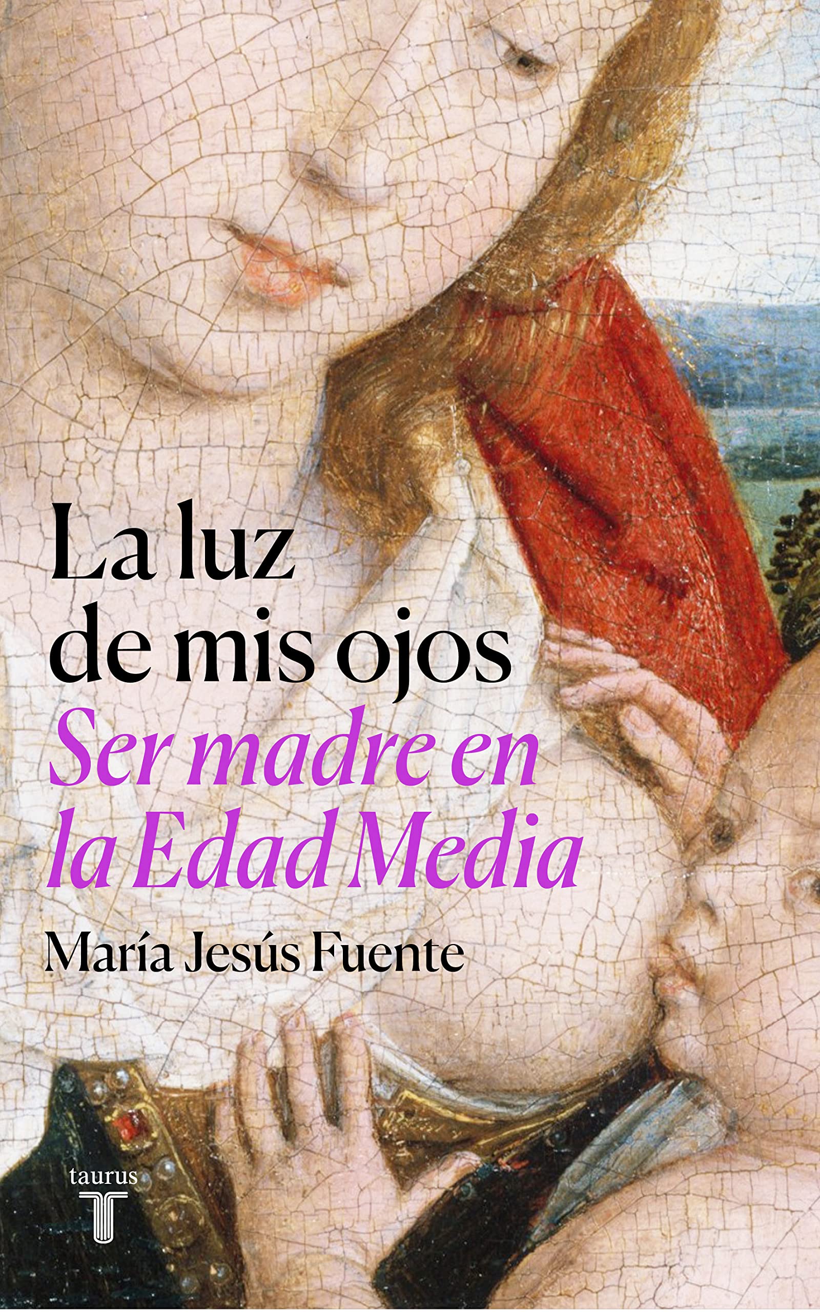 La luz de mis ojos: Ser madre en la Edad Media (Kindle Edition)