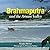 Brahmaputra And The Assam Valley by Ranjita Biswas