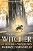 The Tower of the Swallow (The Witcher, #4)