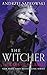Lady of the Lake (The Witcher, #5)