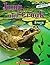 Jump and Croak Frogs