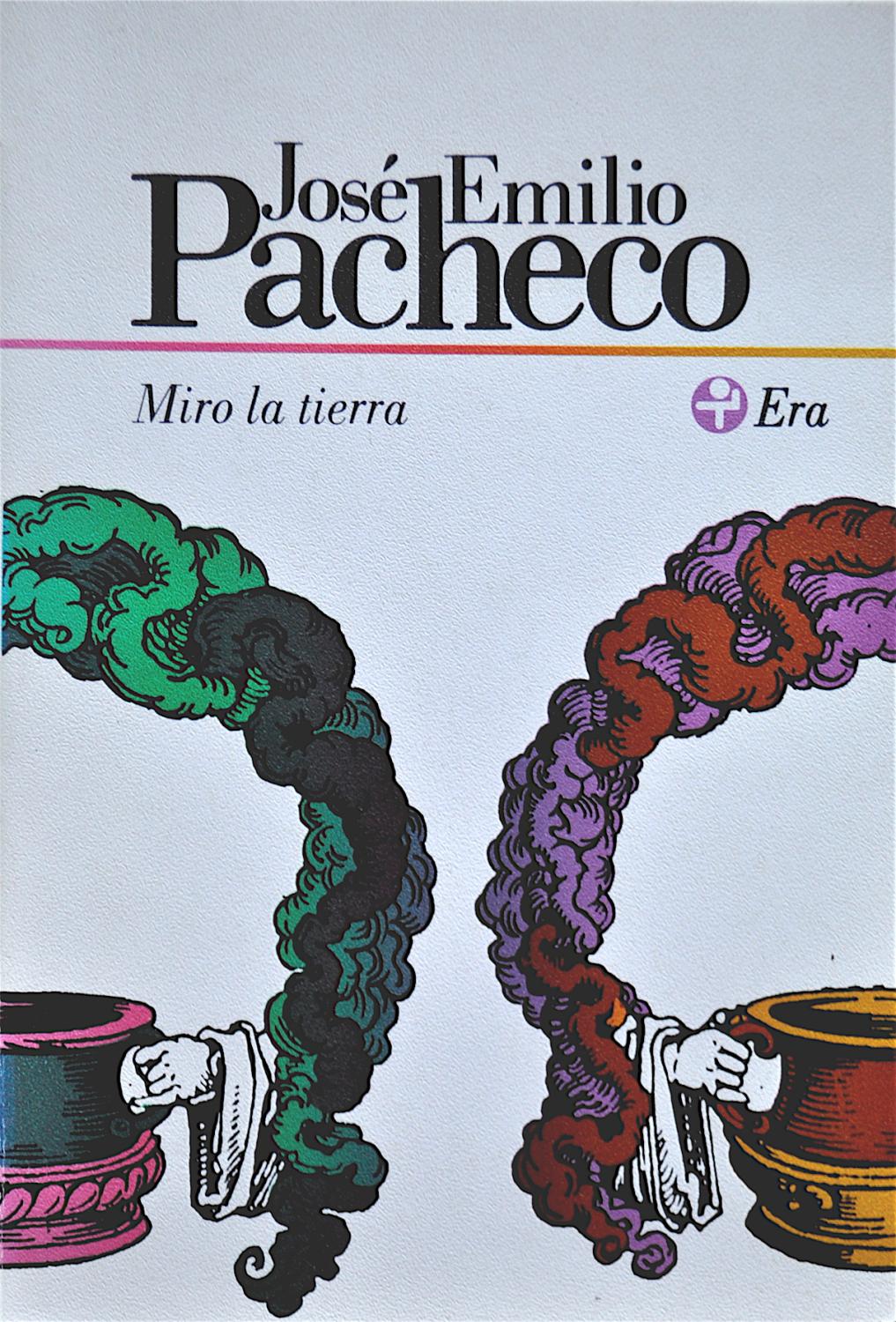 Miro la tierra (Paperback)