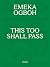 Emeka Ogboh: This Too Shall Pass