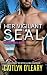Her Vigilant SEAL by Caitlyn O'Leary Her Vigilant SEAL by Caitlyn O'Leary