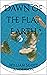 Dawn of the Flat Earth