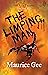 The Limping Man