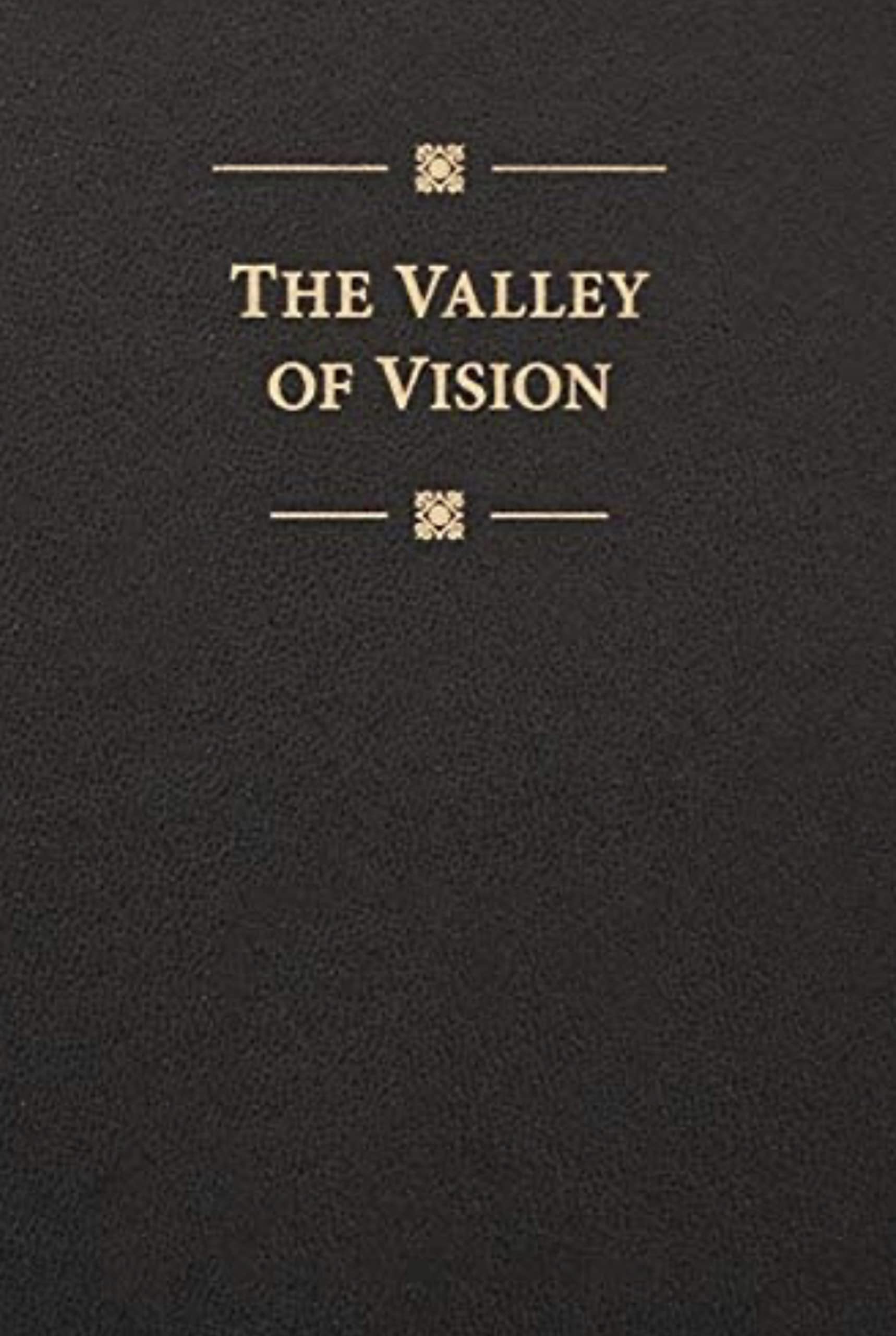 Valley of Vision (Bonded Leather)